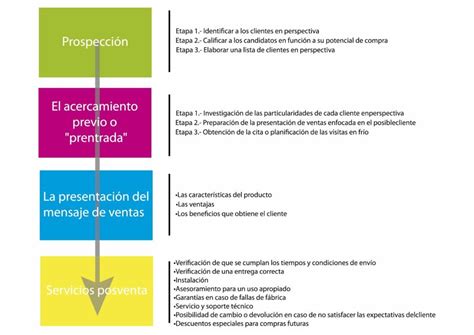 Conoces Las 4 Fases Del Proceso Comercial Emma Valera