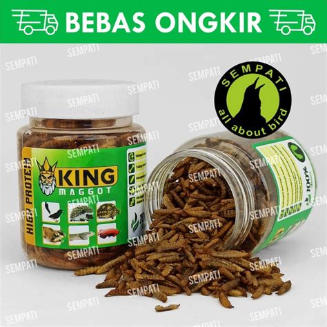 Jual King Maggot Bsf Super Magot Kering Dry Fresh Pakan Burung Murai