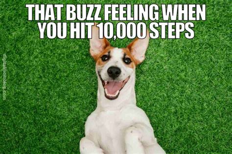 50 Fun Fitbit Memes About Fitness Exercise And Step Count