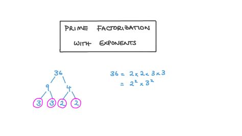 Prime Factorization With Exponents Worksheets Library