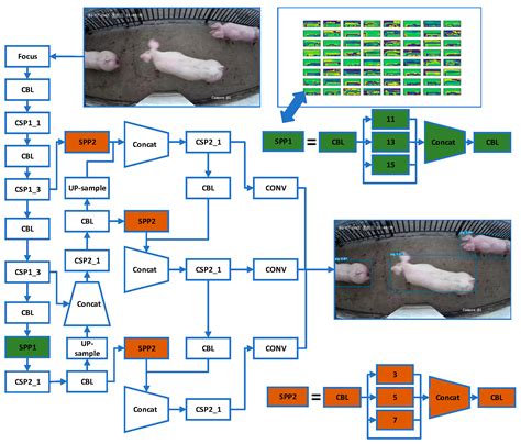 Sensors Free Full Text An Improved Pig Counting Algorithm Based On