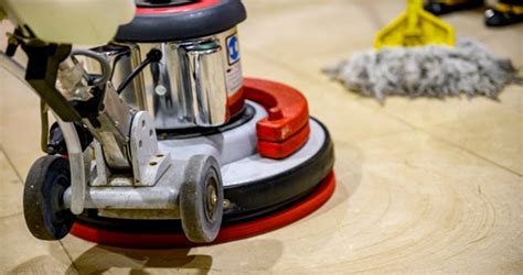 The Hidden Benefits Of Regular Carpet Cleaning Dubai Homeowners Guide