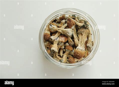 Dry Psilocybin Mushrooms In Glass Jar On White Background Psychedelic