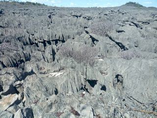 Nos Circuits Baln Aires Gael Tours Madagascar