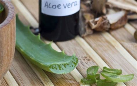 Beneficios Y Efectos Secundarios De Las Pastillas De Aloe Vera