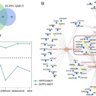 Comparison Between Dlpfc Kmut And Hippo Kmut A Overlapping Gene