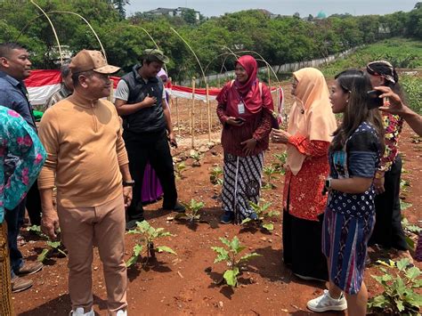 Bantu Warga Depok PP Presisi Gelar Program Urban Farming StockWatch