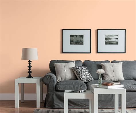 Peach Paint Color For Living Room Detail With Full Pictures ★★★ All Simple Design