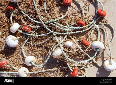 fishing professional tackle  fisherboats stock photo alamy