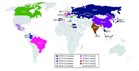 Epidemic Carbapenemase Producing High Risk Pseudomonas Aeruginosa