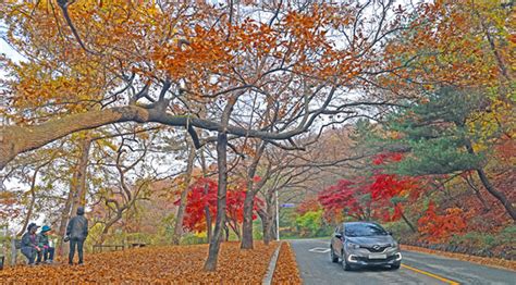 청주 우암산 둘레길 조성사업 본격 추진 충북과 나의 연결고리 충북일보