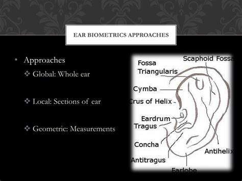 PPT Biometrics Ear Recognition PowerPoint Presentation Free