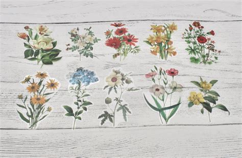 10 Flower Decals Spring Flowers Decals Colourful Flower - Etsy