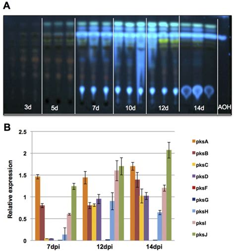 A TLC Analysis Of AOH Formation At Different Time Points Extracts