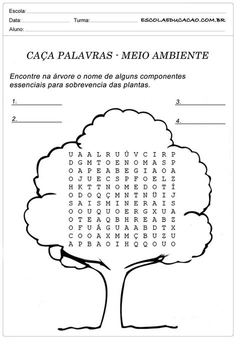 Atividades Caça Palavras sobre Meio Ambiente Atividade para ensino