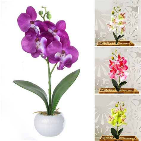 Plantes Composition Florale Fleurs Artificielles Orchid Es Papillon