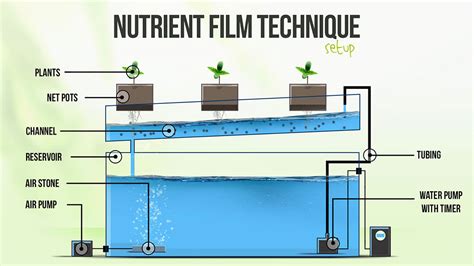 Homemade Nft Hydroponics - Homemade Ftempo