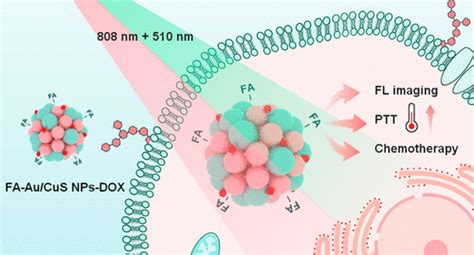 Self Assembled Au Cus Nanoparticles For Targeted Imaging And Multimodal