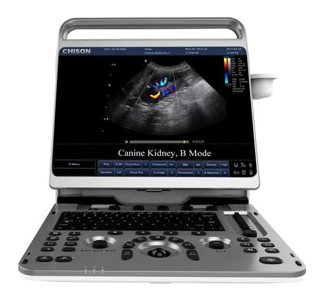 Chison EBit60 VET Ultrasound Photon Surgical Systems Ltd