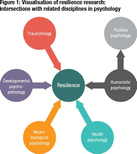 [pdf] Psychological Resilience State Of Knowledge And Future Research