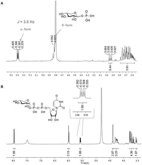 Frontiers Facile And Stereo Selective Synthesis Of Udp D Xylose And