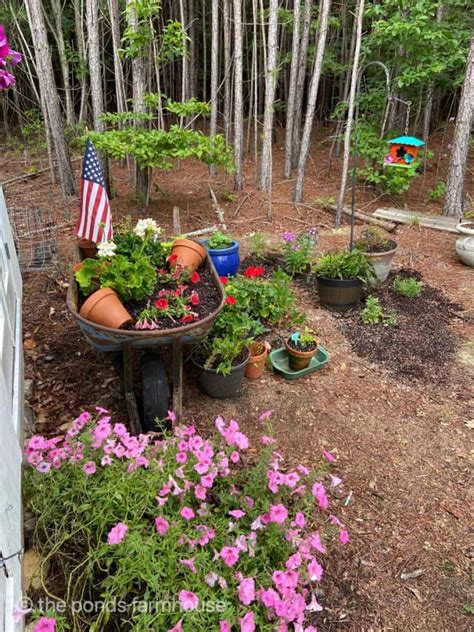 9 Diy Greenhouse She Shed Decor Ideas And Summer Tour