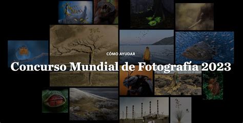 Concurso Mundial De Fotograf A De The Nature Conservancy