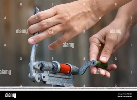 Reloading Cartridge By Shotgun Shell Reloader Closeup Stock Photo Alamy