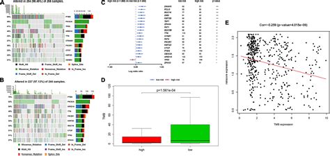 Frontiers Identification Of A Novel Immune Landscape Signature For