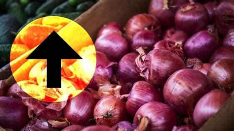 Onion Prices Hit Rs Kg In Delhi Nationwide Average At Rs Kg