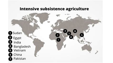 What is intensive subsistence agriculture or farming? - Science Query