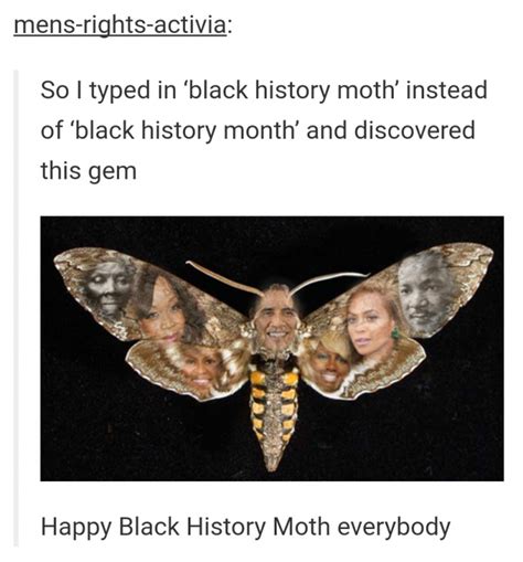 Moth memes - Meme by perridotti :) Memedroid