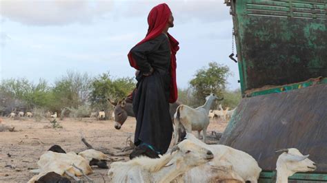 Schlimmste Dürre seit 40 Jahren Millionen droht Hunger