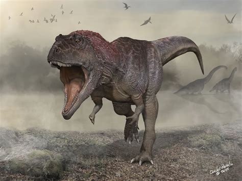 Paleontologists Uncover New Dinosaur With Tiny Arms Like T Rex