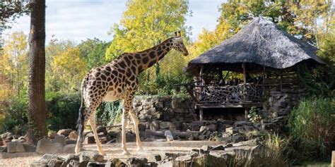 Erlebnis-Zoo Hannover - Visit Hannover