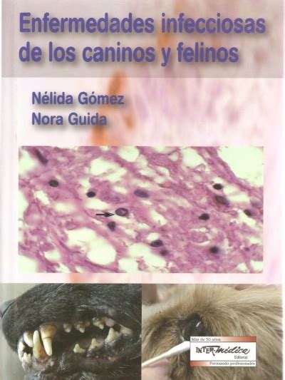 Enfermedades Infecciosas De Los Caninos Y Felinos