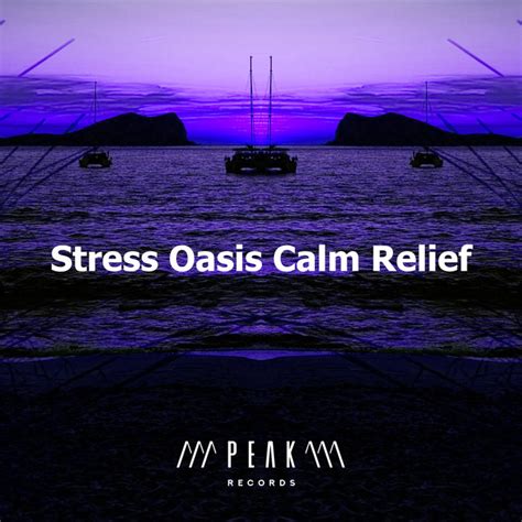 Stress Oasis Calm Relief Album By Stress Relief Calm Oasis Spotify