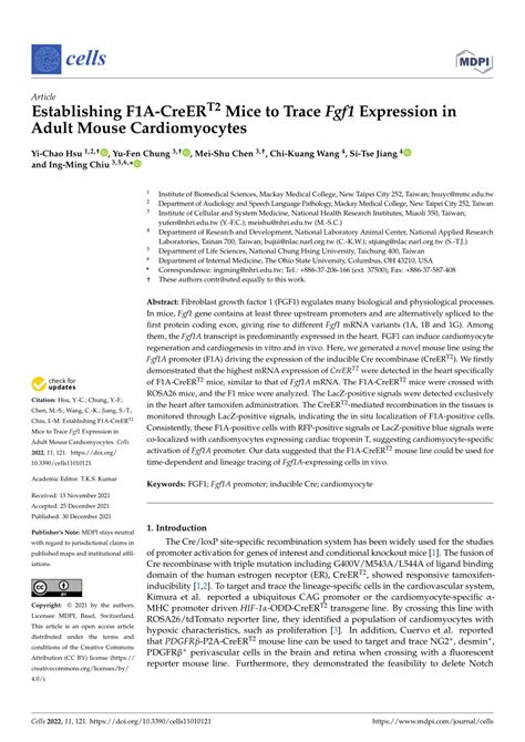 Pdf Establishing F1a Creert2 Mice To Trace Fgf1 Expression In Adult