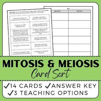 Meiosis And Mitosis Cell Division Reproduction Card Sort Activity