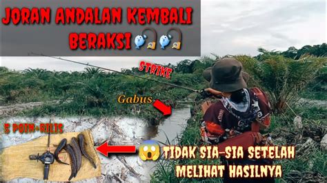 Mancing Gabus Casting Gabus Dispot Andalan Dan Hasilnya Nya Tidak