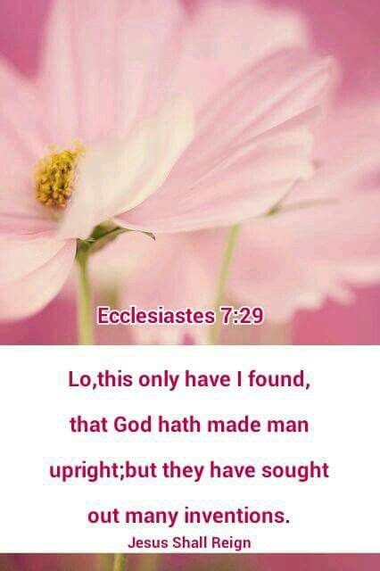 Ecclesiastes 729 Pink Flower Image