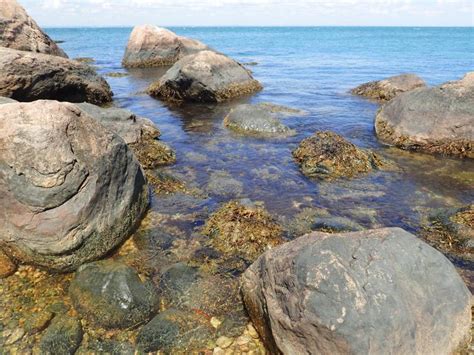 Rocky Intertidal Zones