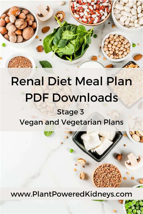 Renal Diet Meal Plan PDF Downloads | Stage 3 CKD