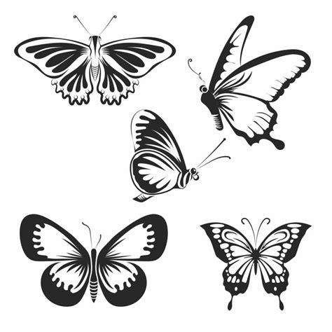 White And Black Butterflys Bundle Vector Design 21617729 Vector Art At Vecteezy