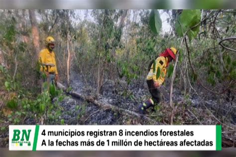 Registran 8 Incendios Forestales En 4 Municipios Envían Alimentos Para Ollas Comunes De San