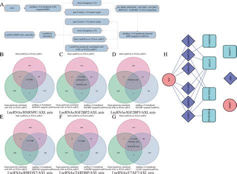 Establishment Of Lncrna Rbp Axl Mrna Networks A The Whole Workflow Of