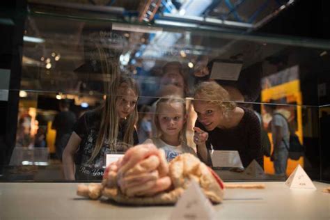 Heidelberg Ticket De Acceso Al Museo Body Worlds Getyourguide