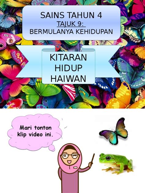 Pdf Kitar Hidup Haiwan Dokumentips