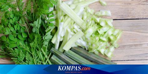 Manfaat Daun Kelor Bagi Kesehatan Bisa Menurunkan Kadar Gula Darah