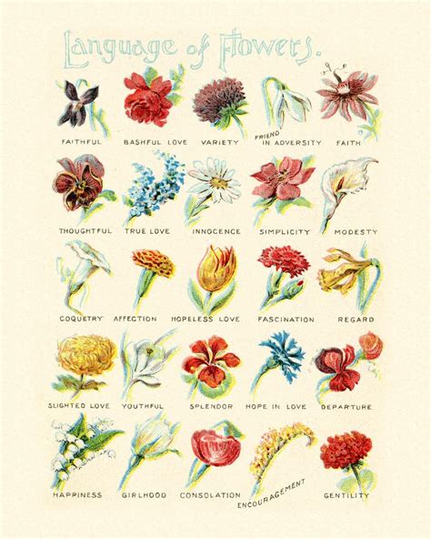 The Language Of Flowers Antique Victorian Flower Diagram 5 Etsy Artofit